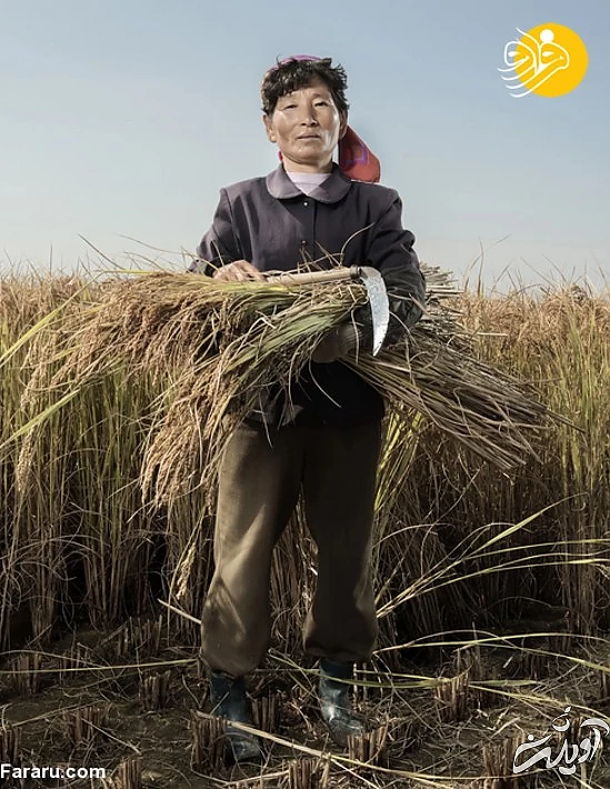 (تصاویر) پرتره‌هایی از مردم معمولی کره شمالی